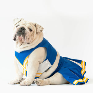 WONTON CHEERLEADER Outfit in blue and yellow