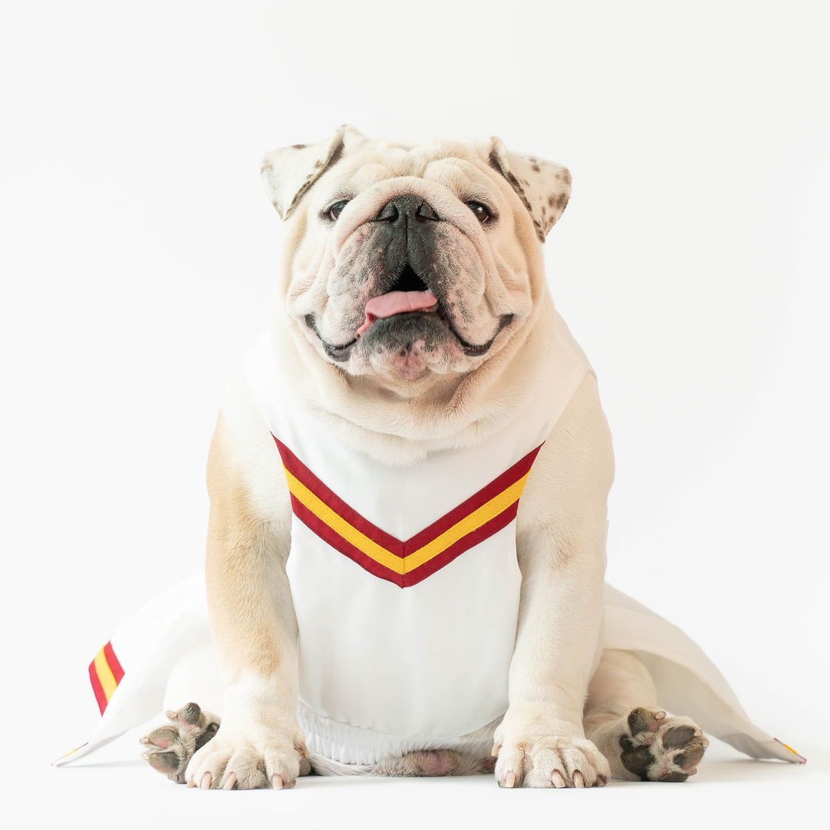 WONTON CHEERLEADER Outfit in white and burgundy