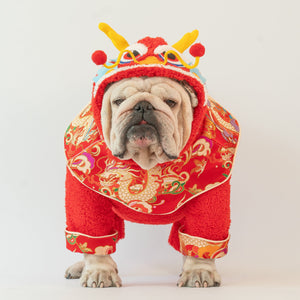 WONTON CHINESE DRAGON costume