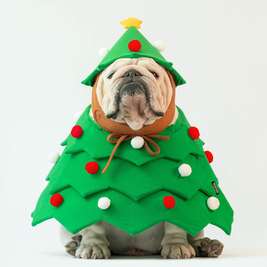 WONTON Christmas Tree Costume (Christmas Special)