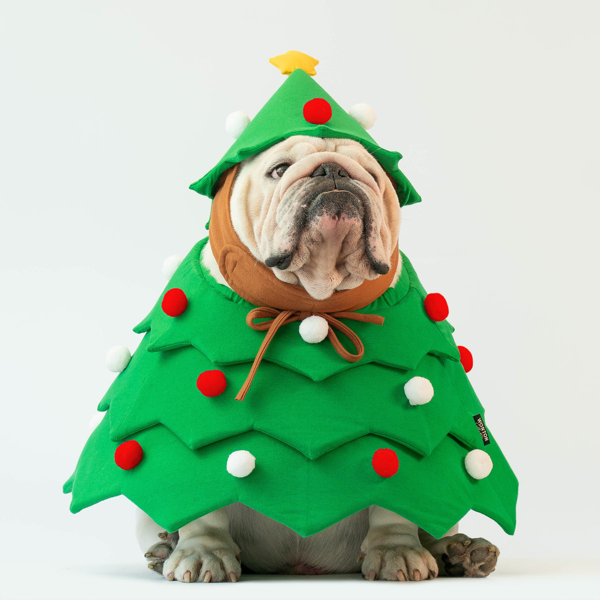 WONTON Christmas Tree Costume (Christmas Special)