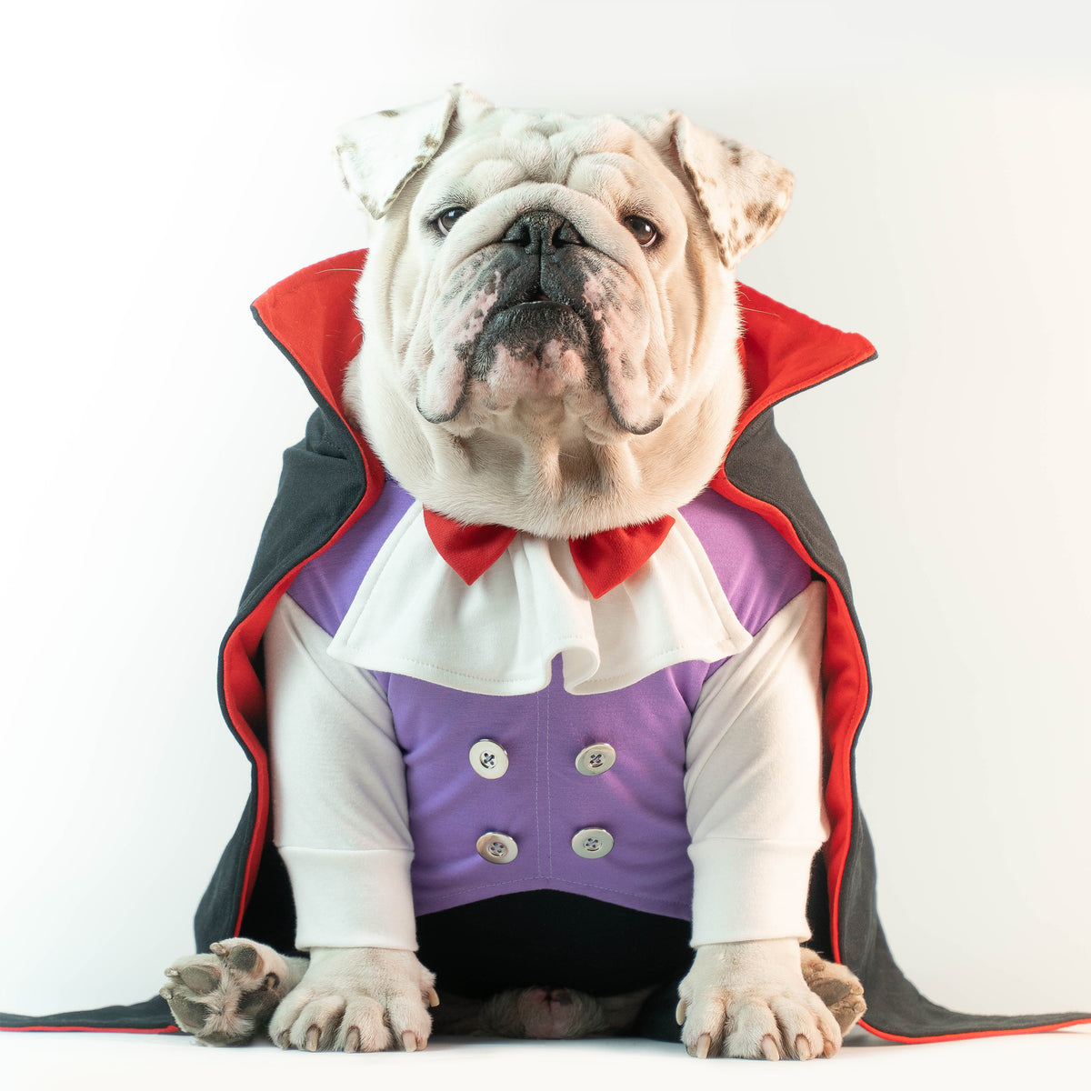 WONTON Count Dracula Onesie (HALLOWEEN LIMITED EDITION)