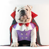 WONTON Count Dracula Onesie (HALLOWEEN LIMITED EDITION)