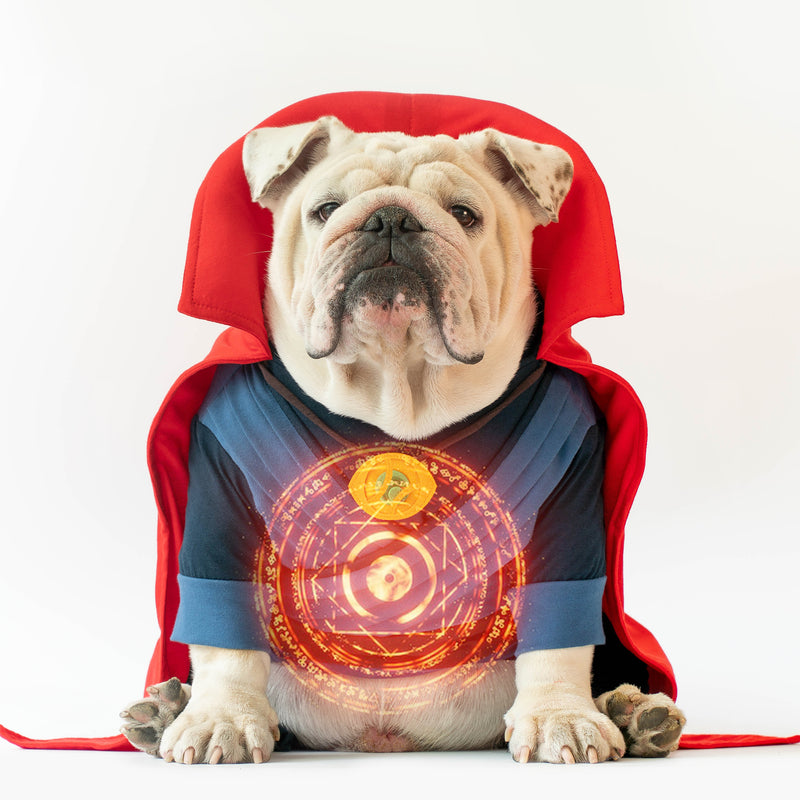 WONTON DOGTOR STRANGE onesie