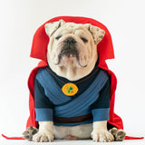WONTON DOGTOR STRANGE onesie