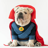 WONTON DOGTOR STRANGE onesie