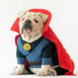 WONTON DOGTOR STRANGE onesie