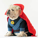 WONTON DOGTOR STRANGE onesie