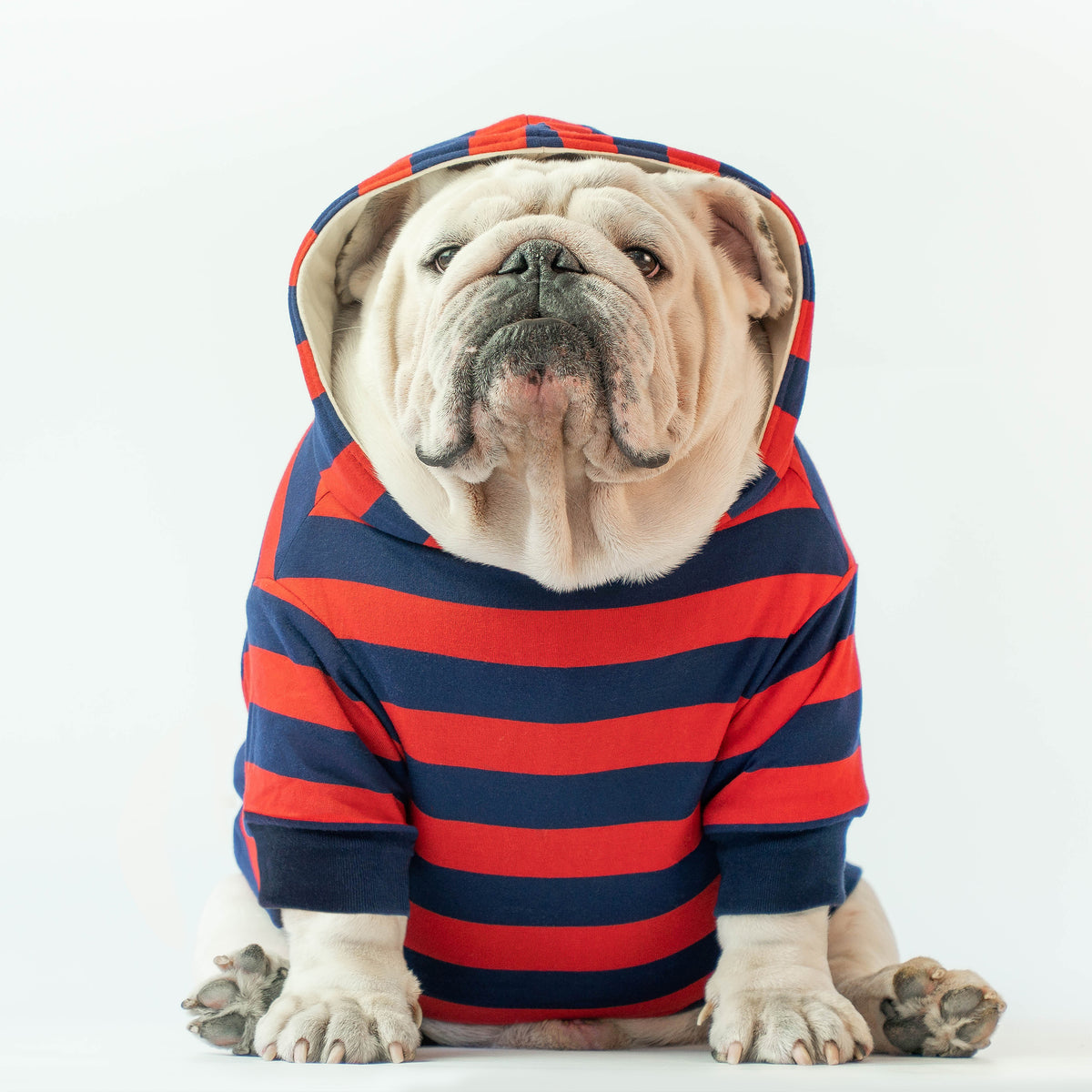 WONTON December Night Winter Hoodie