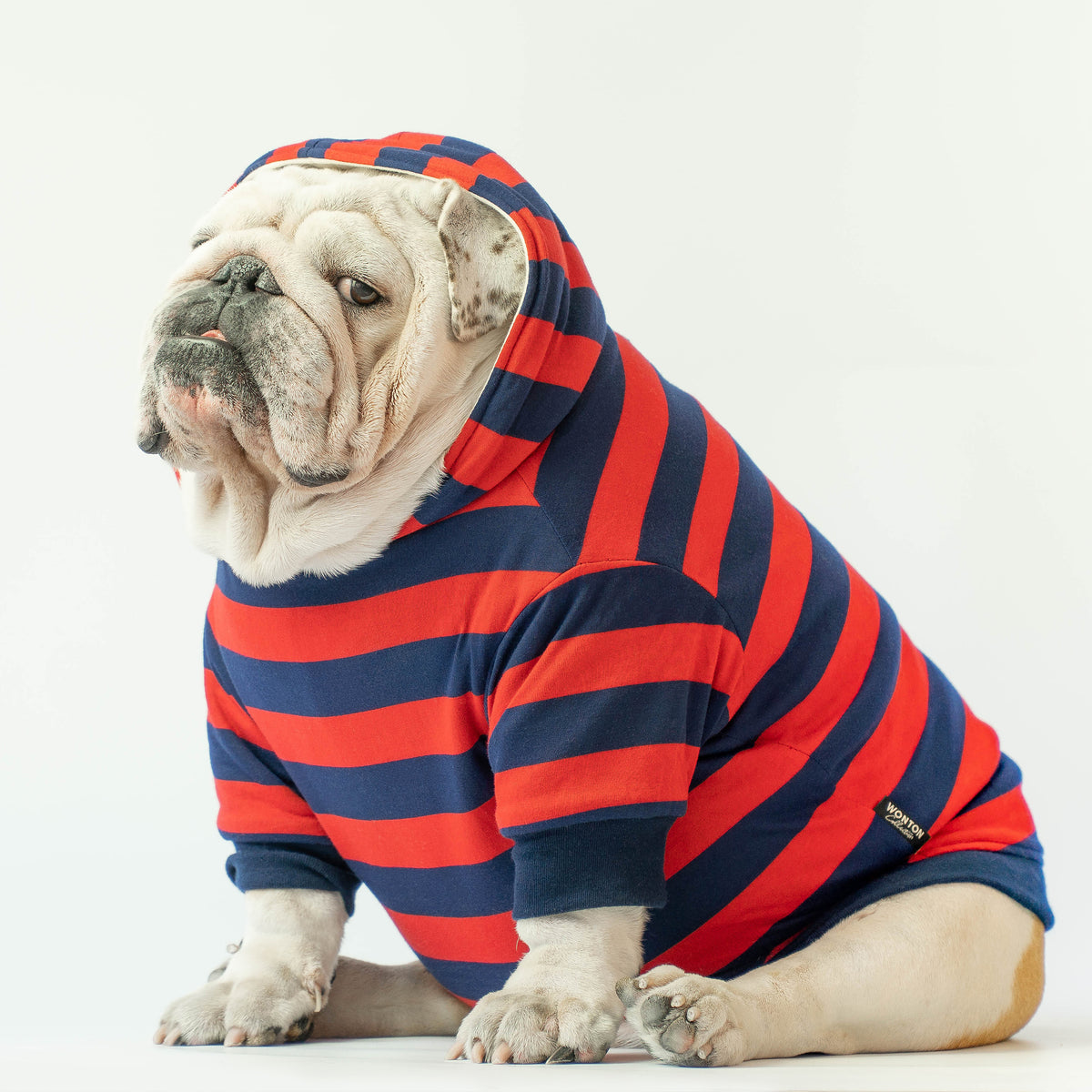 WONTON December Night Winter Hoodie