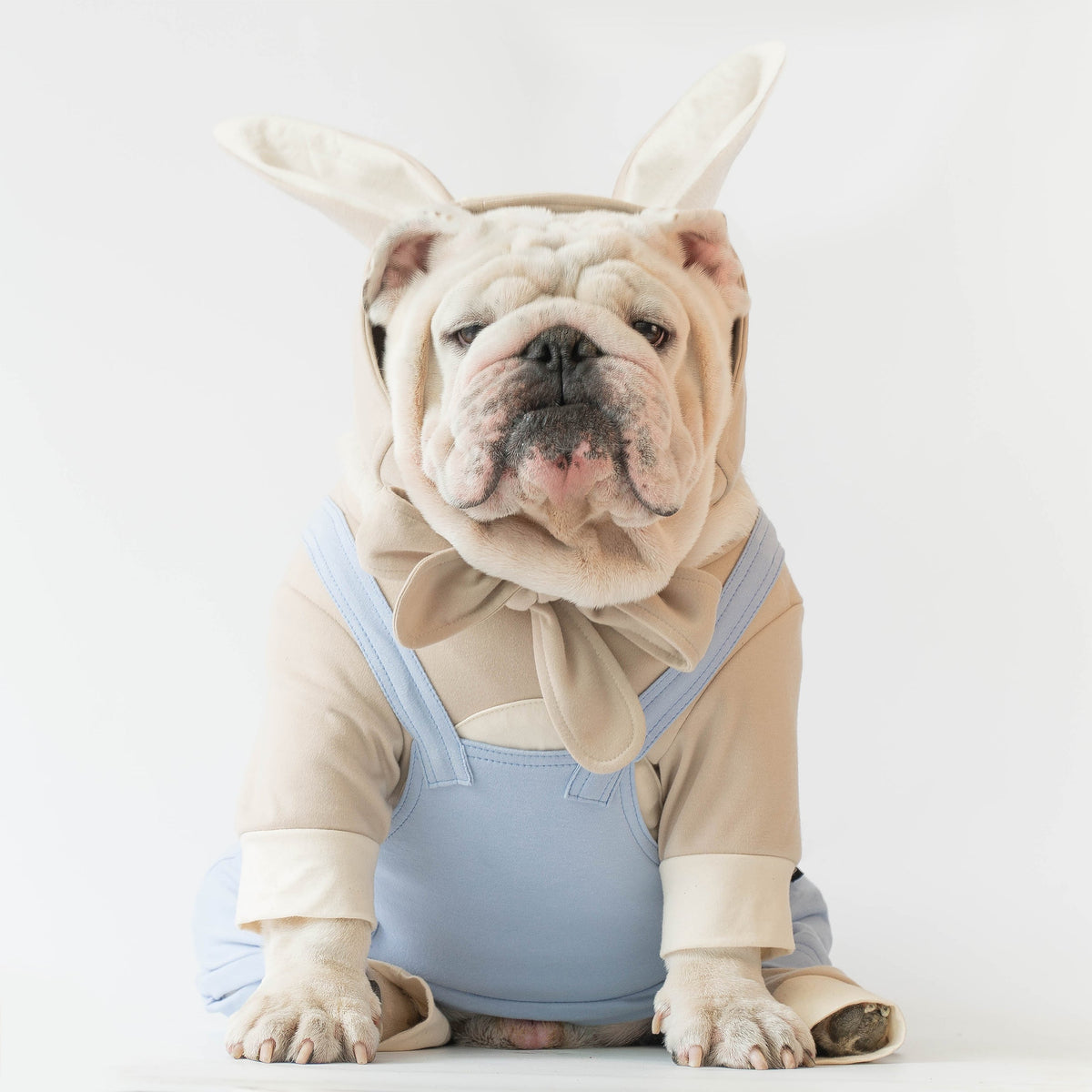 WONTON Easter Bunny male onesie