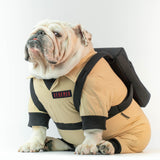 WONTON GHOSTBUSTERS Halloween Costume