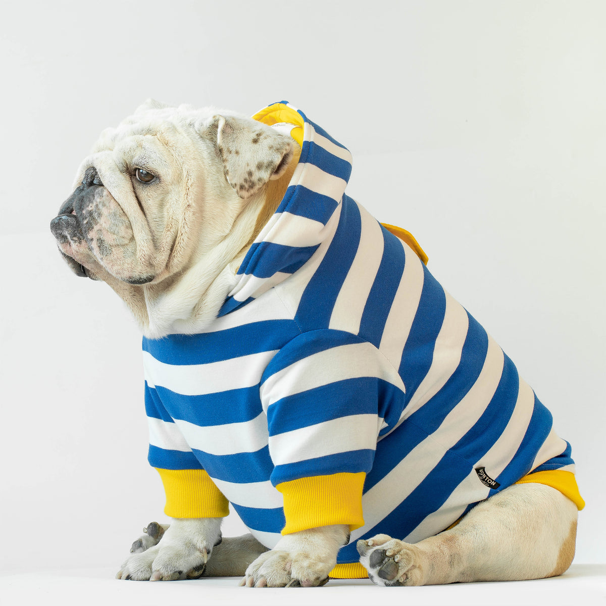 WONTON Good Day Sunshine Winter Hoodie