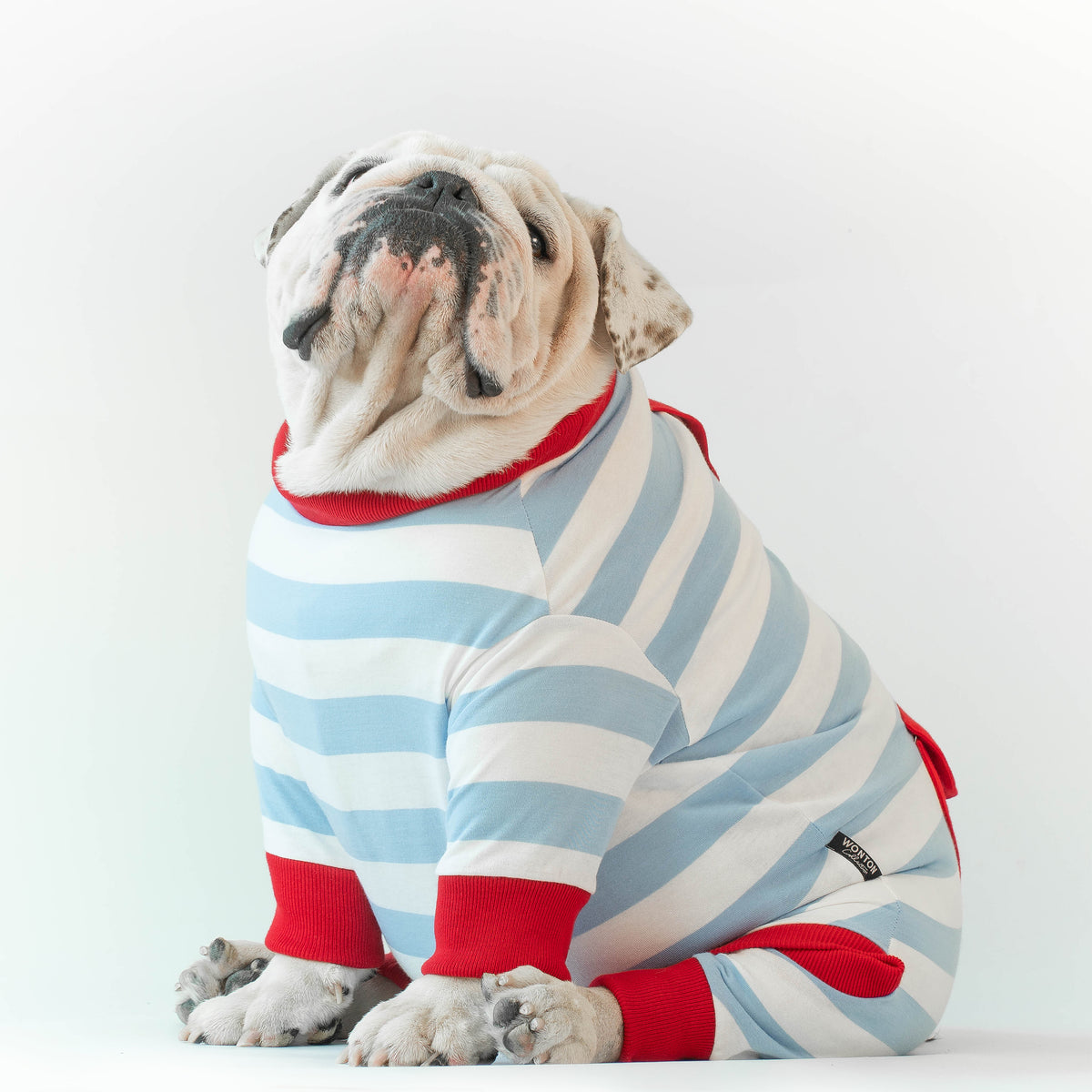 WONTON Jingle Bells onesie in blue and red