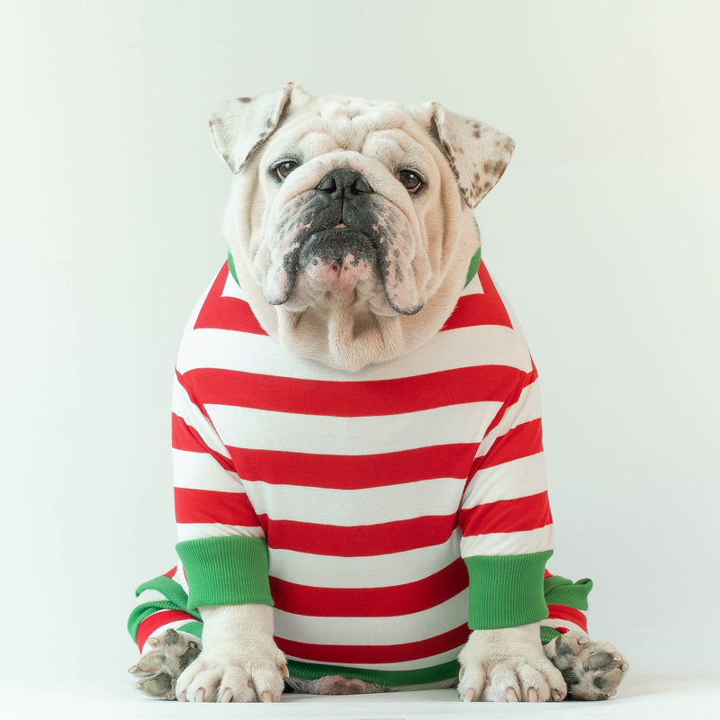 WONTON Jingle Bells onesie in red and green