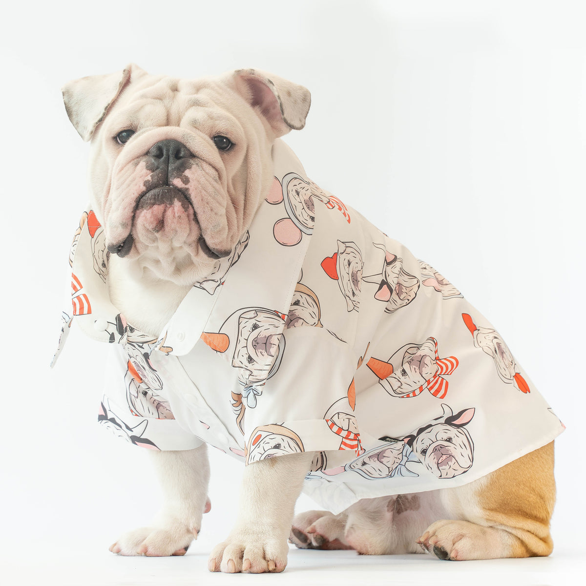 WONTON DESIGN 4 Year Celebration Limited Edition shirt (Pima cotton)