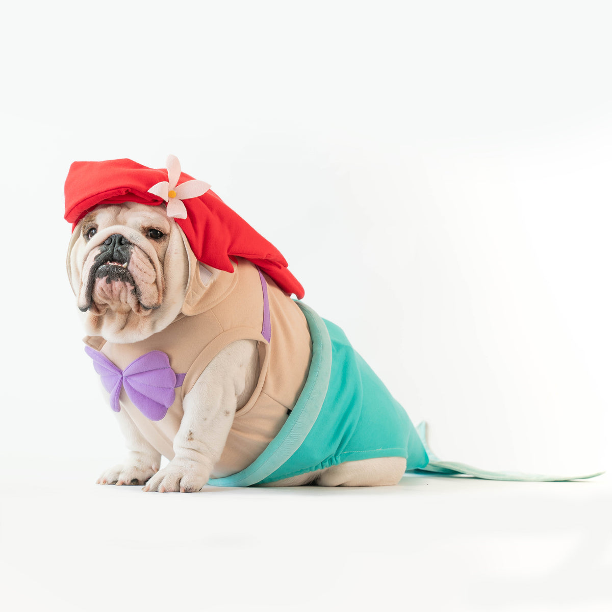 WONTON Little Bullmaid costume