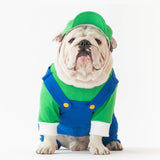 WONTON Luigi Costume