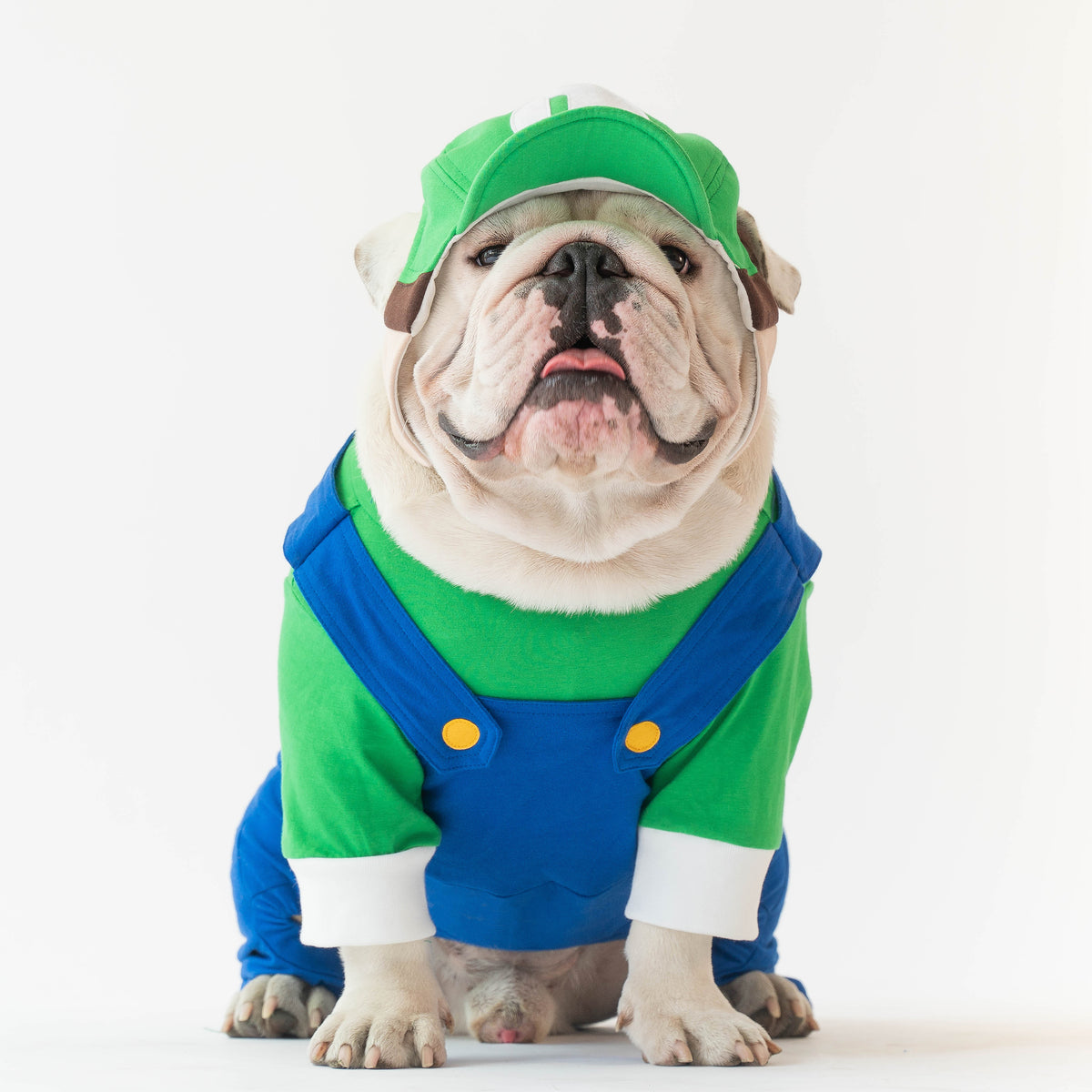 WONTON Luigi Costume