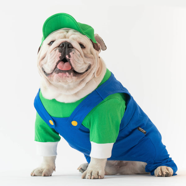 Dog shop luigi costume