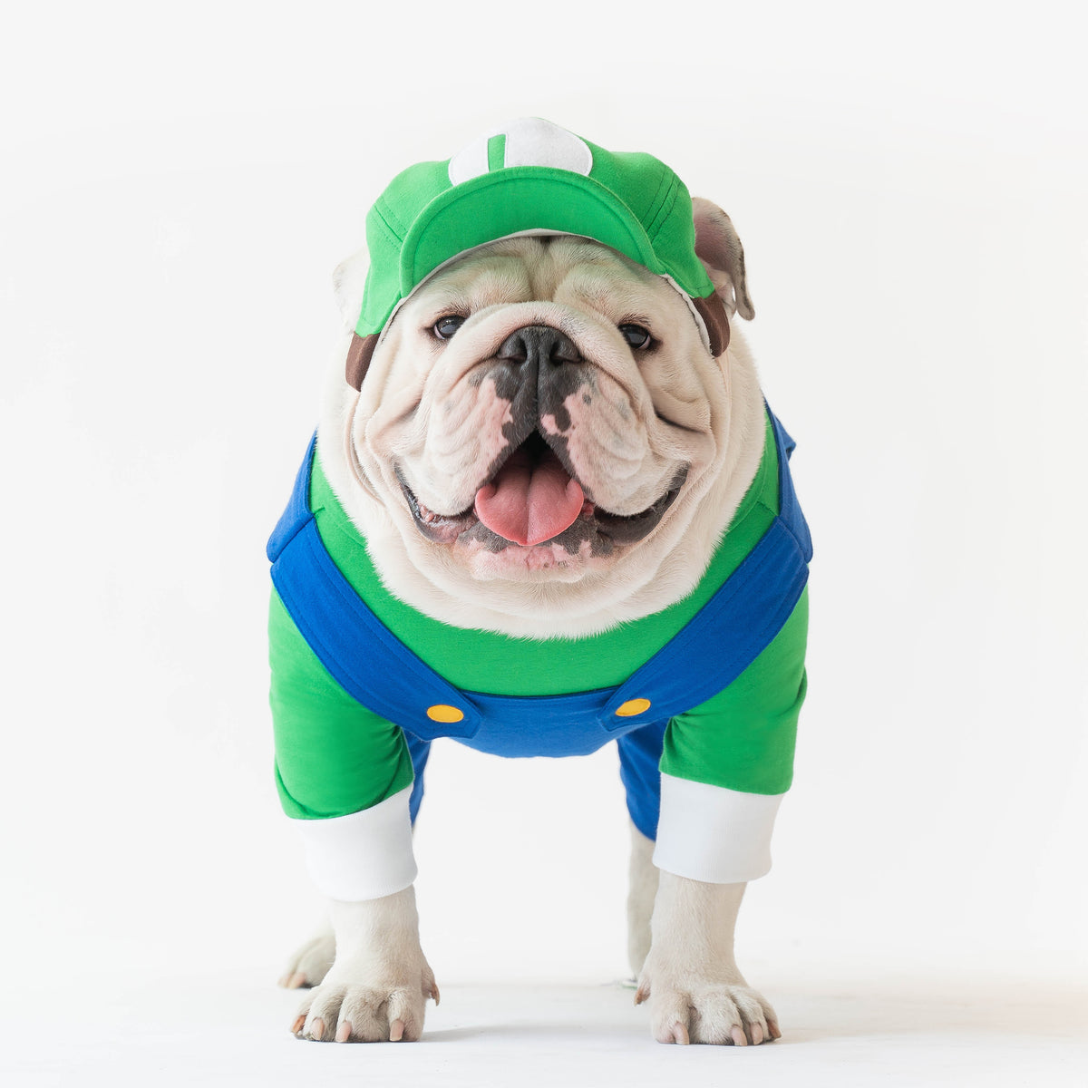 WONTON Luigi Costume