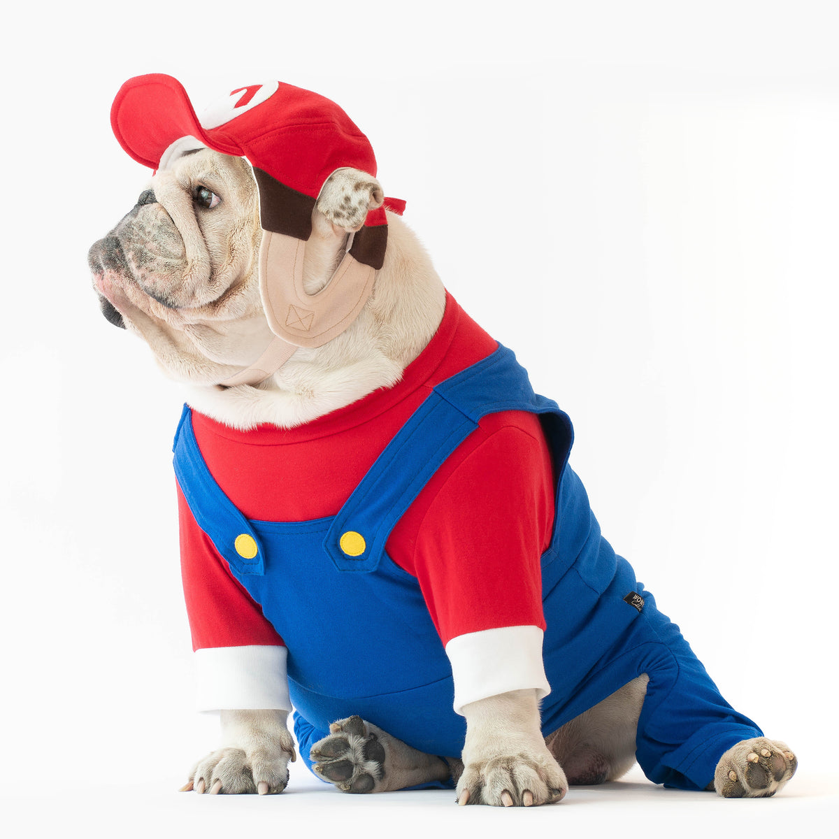 WONTON MARIO Costume
