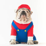 WONTON MARIO Costume