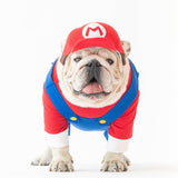 WONTON MARIO Costume
