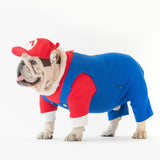 WONTON MARIO Costume