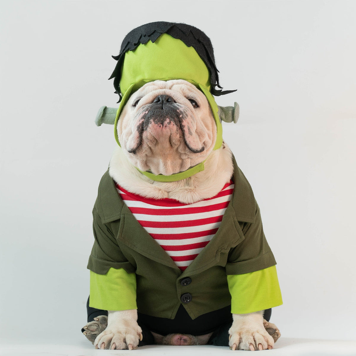 WONTON Mr. Frankenstein onesie (Limited Edition for Halloween 2023)
