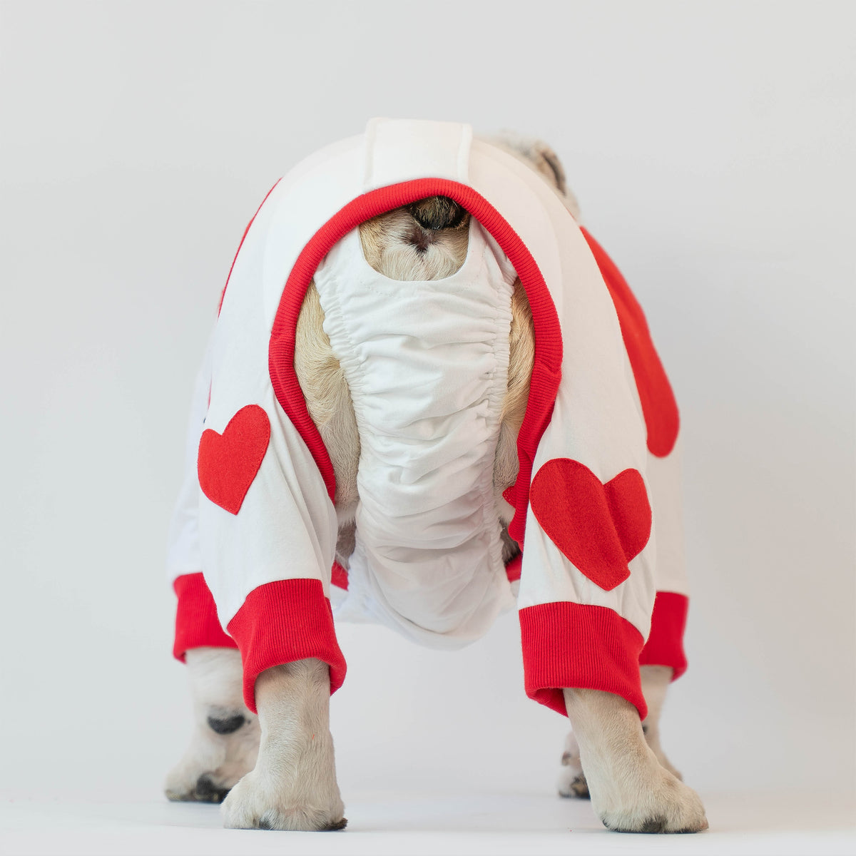 WONTON My Valentine JAMMIES (Valentine Special)