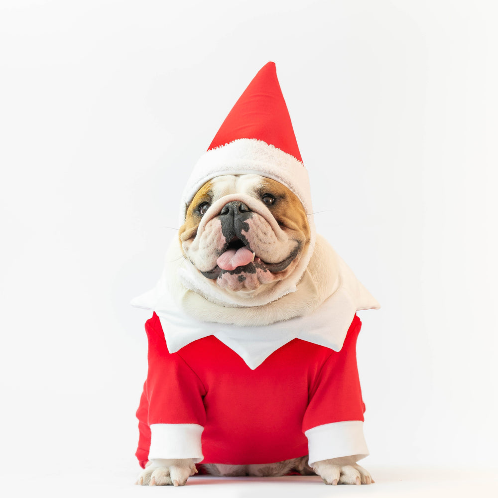 WONTON Christmas Scout Elf Onesie