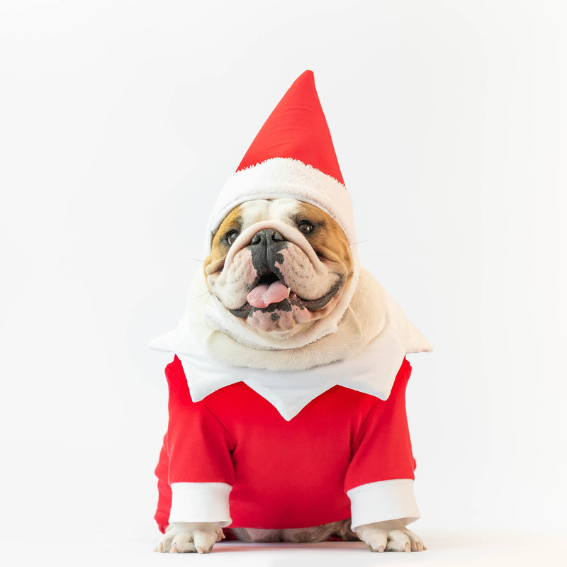 WONTON Christmas Scout Elf Onesie