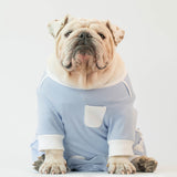 WONTON SLEEP SNUG JAMMIES in baby blue