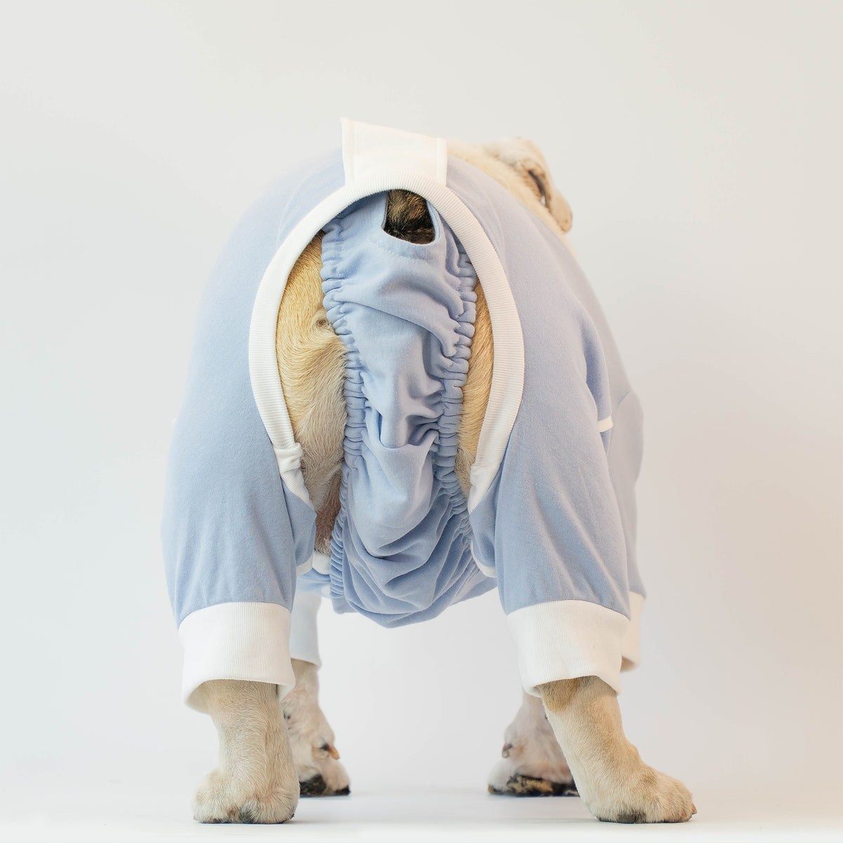 WONTON SLEEP SNUG JAMMIES in baby blue