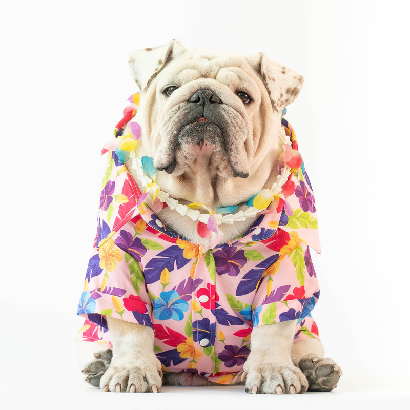 WONTON SONGKRAN Festival shirt in pink