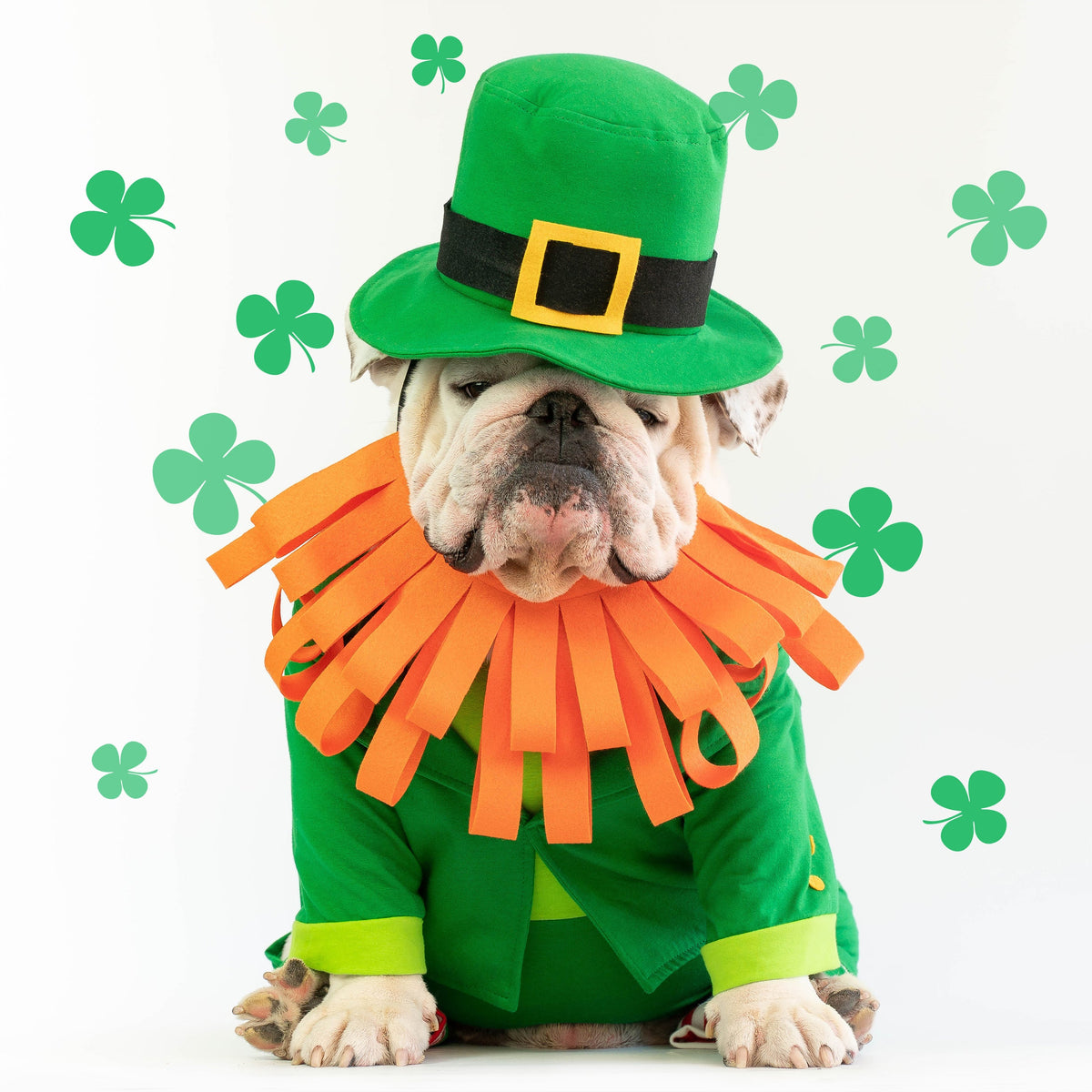 WONTON ST. PATRICK onesie (LIMITED EDITION)