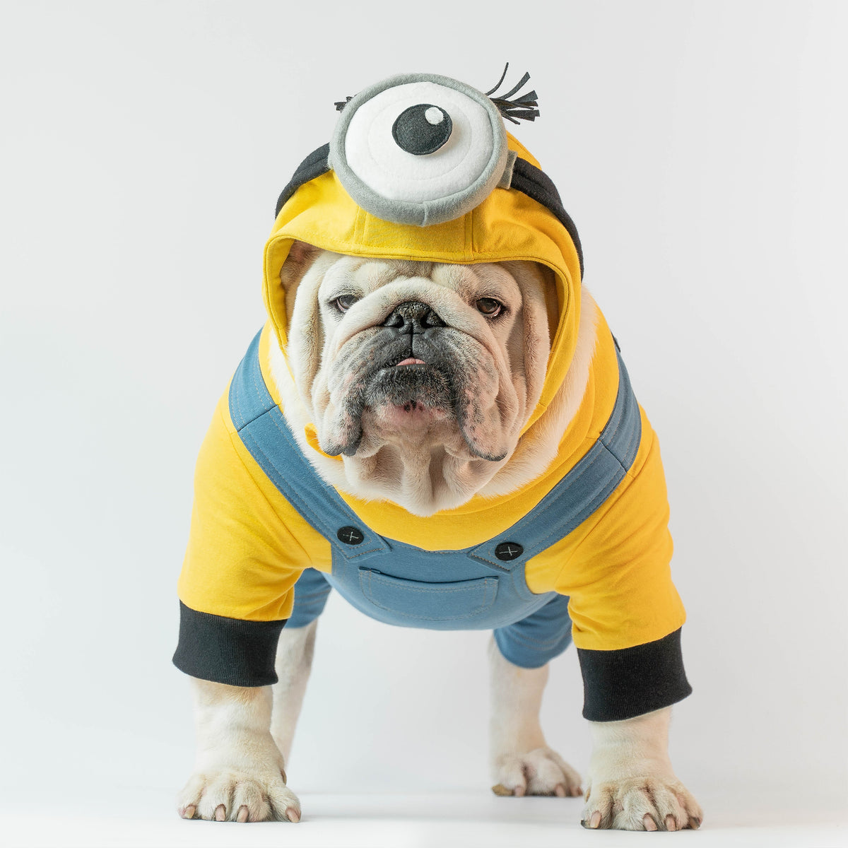 WONTON STUART Onesie  is