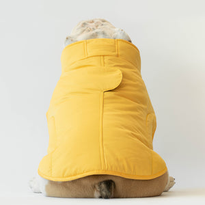 WONTON SNOWFALLS Winter Coat in yellow