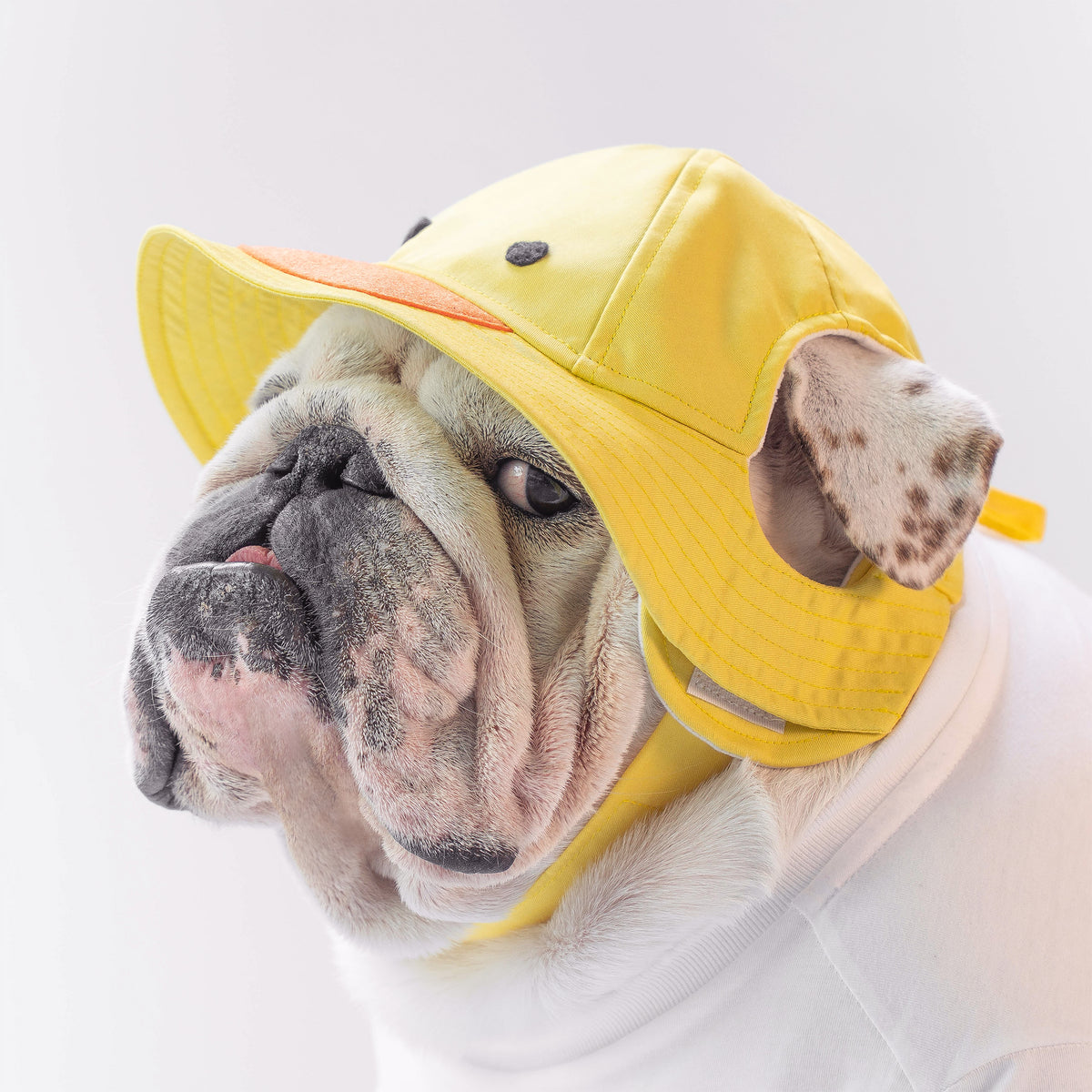 WONTON The Duck FISHERMAN HAT