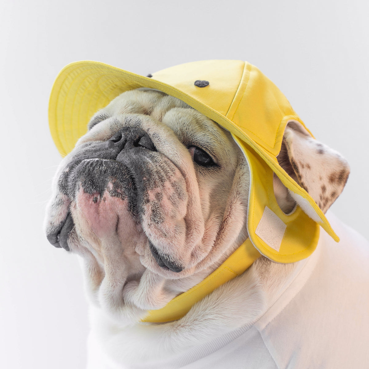 WONTON The Duck FISHERMAN HAT