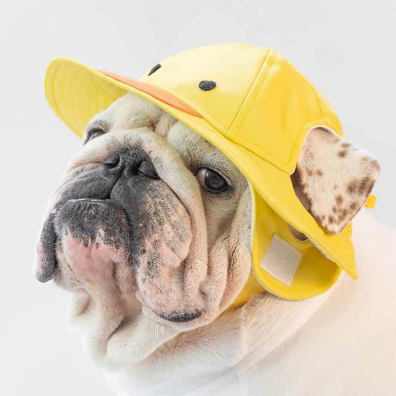 WONTON The Duck FISHERMAN HAT