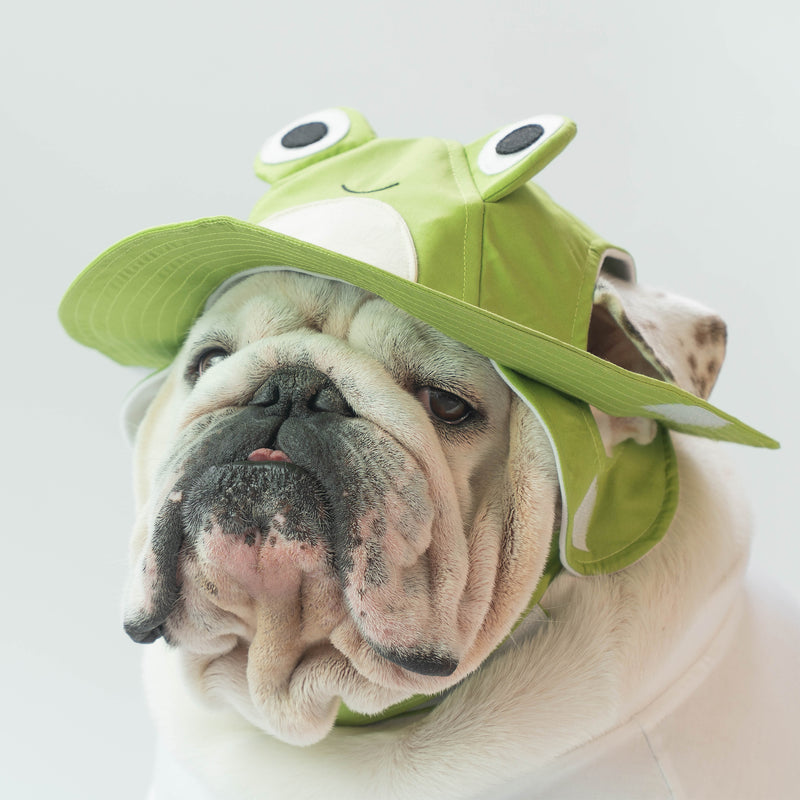 WONTON The Frog FISHERMAN HAT