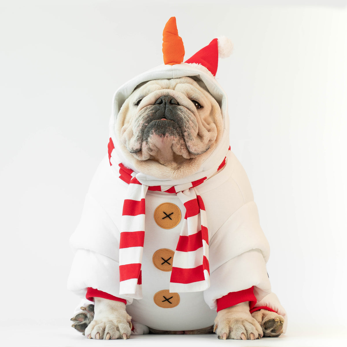 WONTON The Snowdog Onesie (CHRISTMAS SPECIAL)