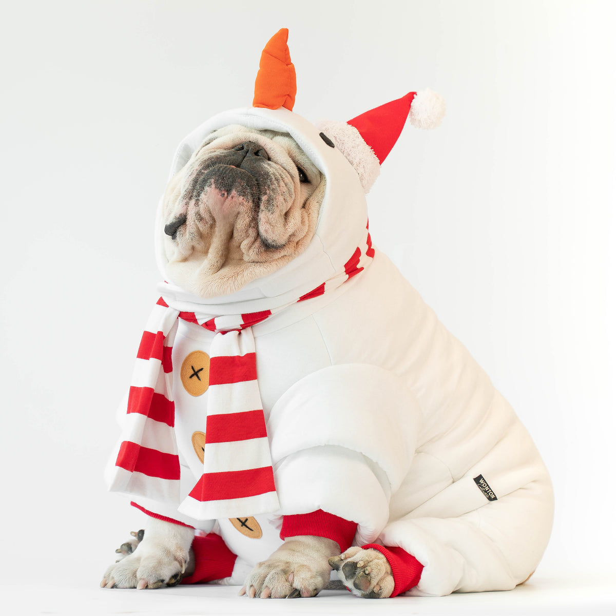 WONTON The Snowdog Onesie (CHRISTMAS SPECIAL)