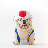 WONTON Toad Costume