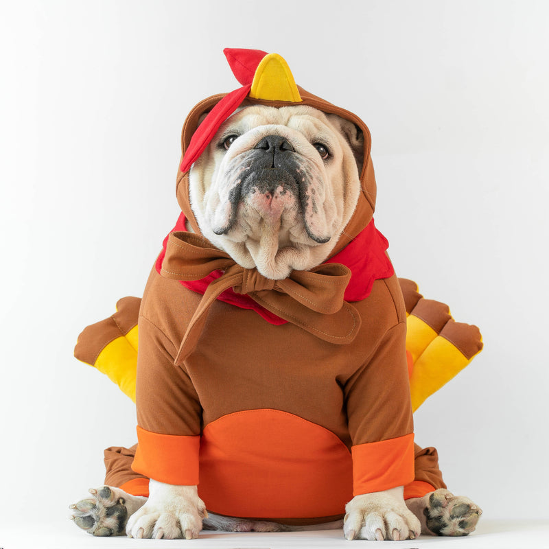 WONTON Little Turkey Onesie