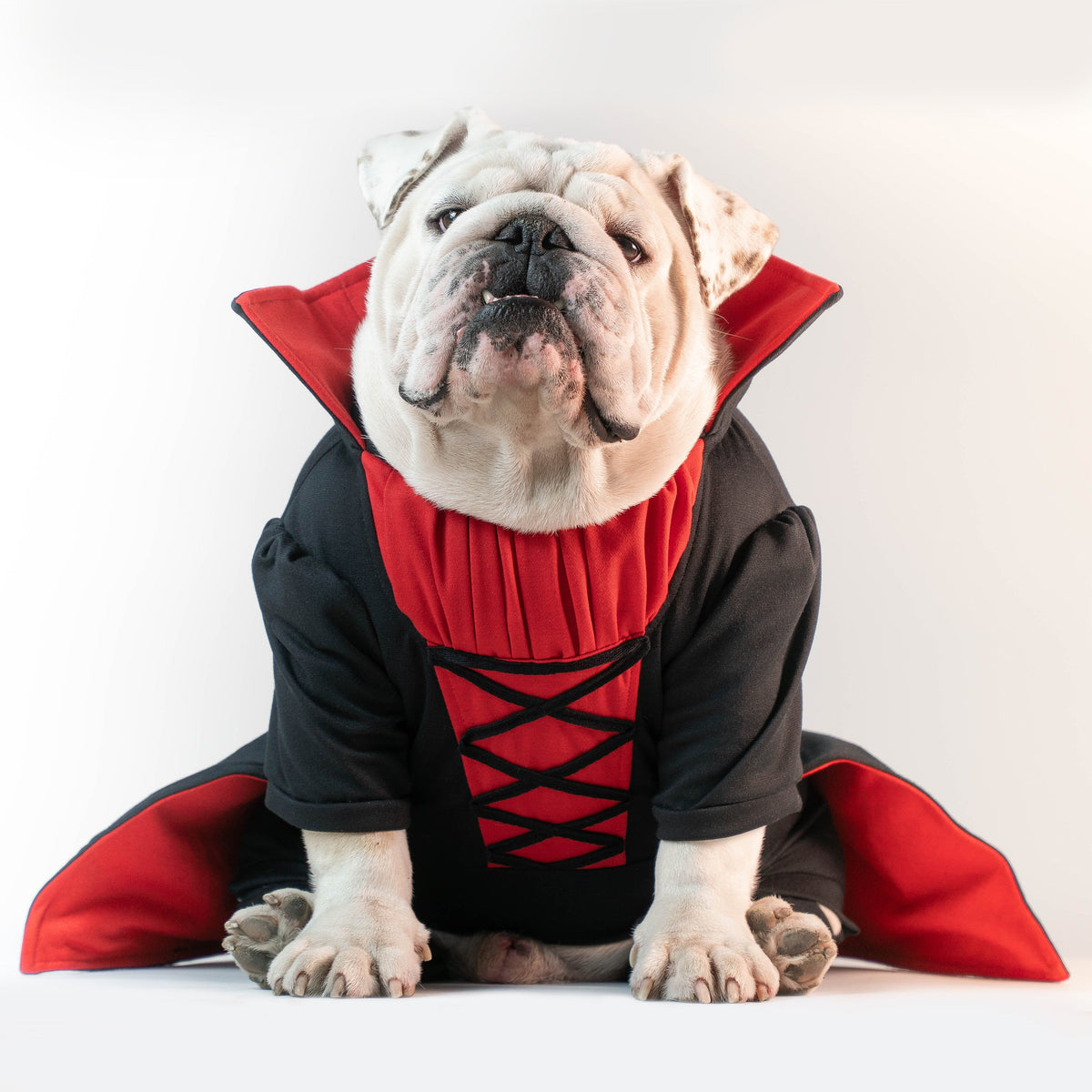 WONTON Vampiress Onesie (HALLOWEEN LIMITED EDITION)