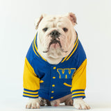 WONTON Varsity Bomber Jacket in blue and yellow