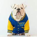 WONTON Varsity Bomber Jacket in blue and yellow
